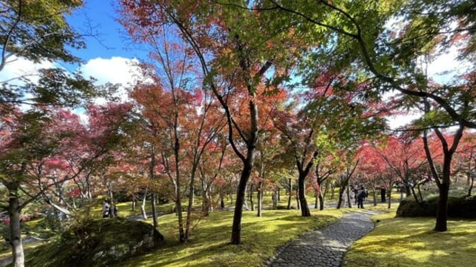 2022　紅葉狩り　箱根　