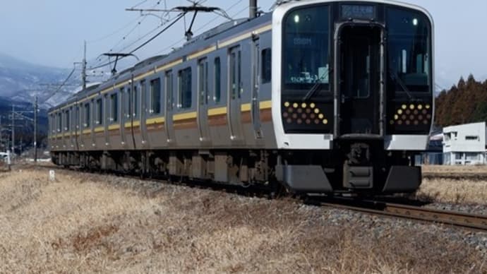 栃木県内のローカル輸送を担うJR東日本E131系600番台(日光線・宇都宮線)