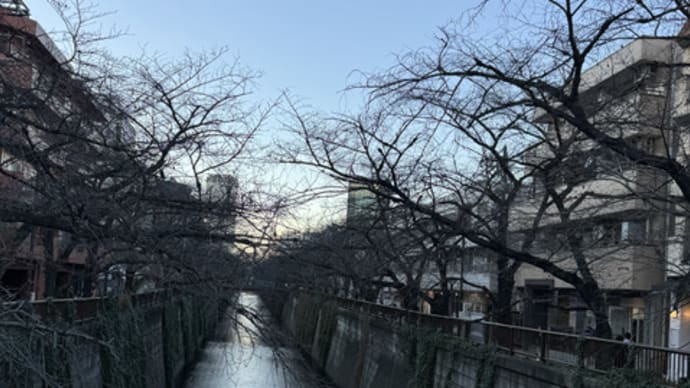 お家から出ない日曜日