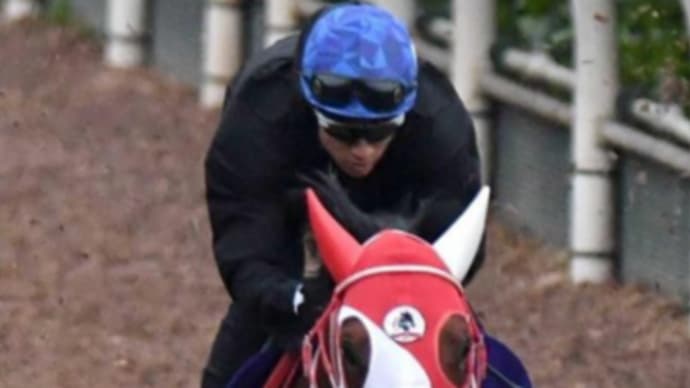 【バスラットレオン】最終追いは馬なり楽走も万全の仕上り!