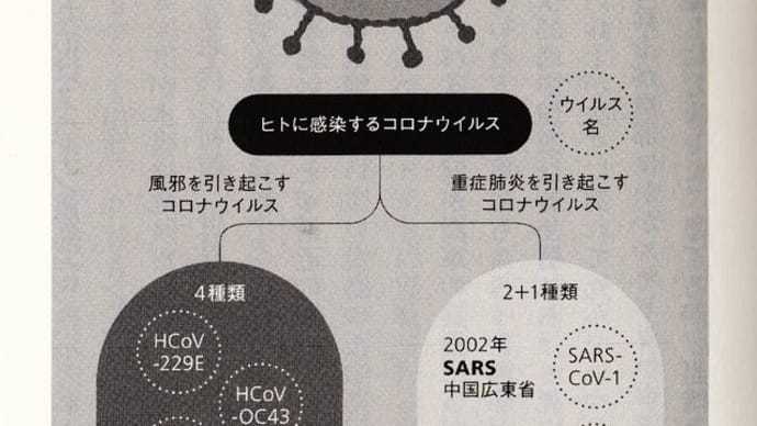 グローバル時代の見えない敵・ウイルス(1)