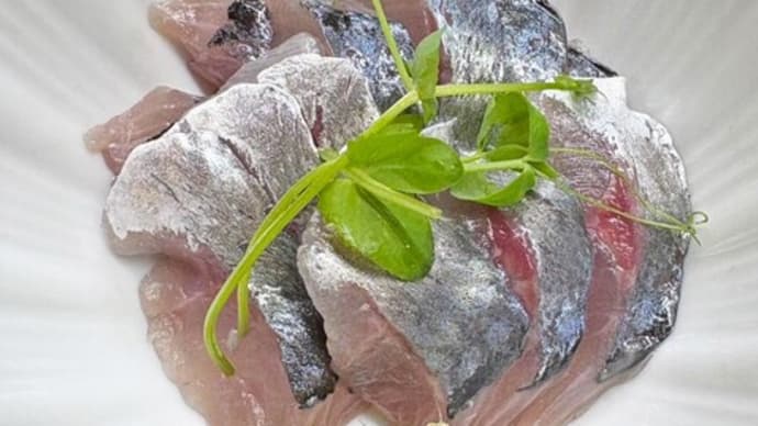 漁師の漢気タイムにて、朝どれ小田原産のアジをご提供させていただきました!