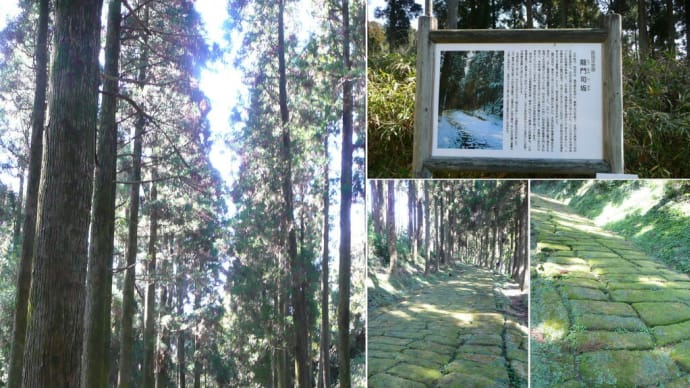 「鹿児島紹介2024_100 姶良市 龍門司坂」2024/10/24