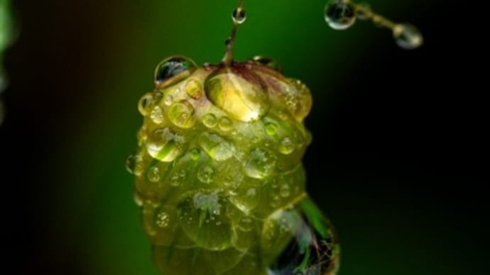 雨滴