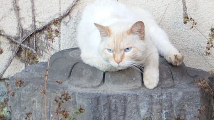 生活の環境