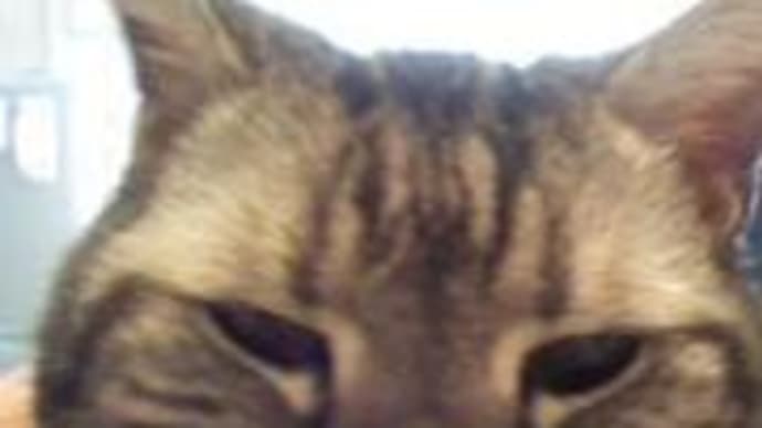 近寄り
