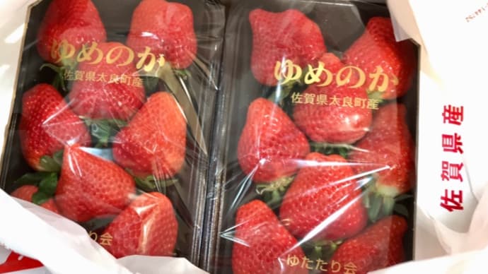 頂き物