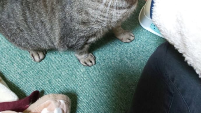 確認中