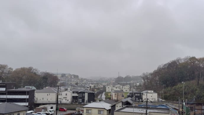 03月26日 一日本降りの雨。