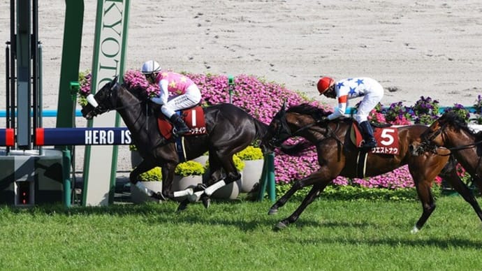 【予想】 第73回 京都新聞杯 G2