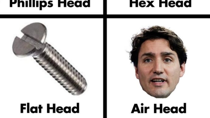 Well Justine, You Make Boopsy Blonds Look Einstein. 😀😃😄😁😆😅😂🤣😈🇨🇦