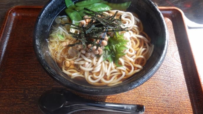 偕楽園と千波湖を歩く(7)