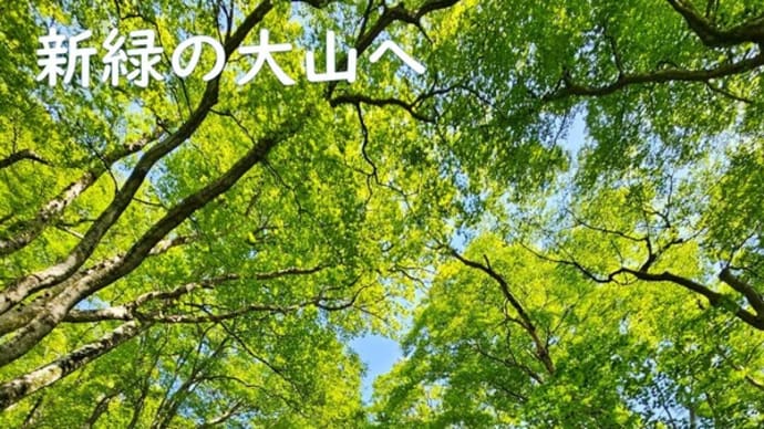 第2回 大山登山 ユートピアコース 5月10日