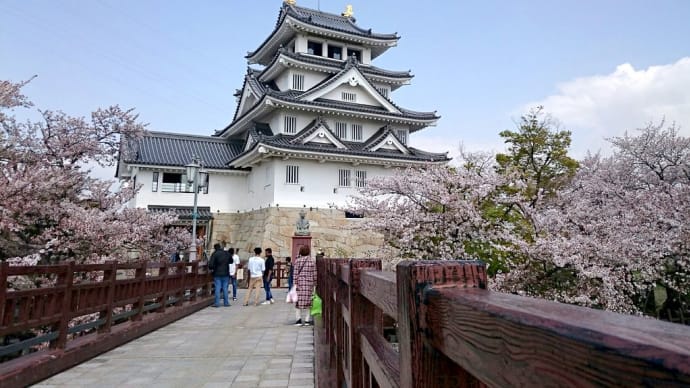 墨俣城の桜🌸と壷焼き芋🍠