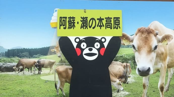 いとこと約60年振りに再会