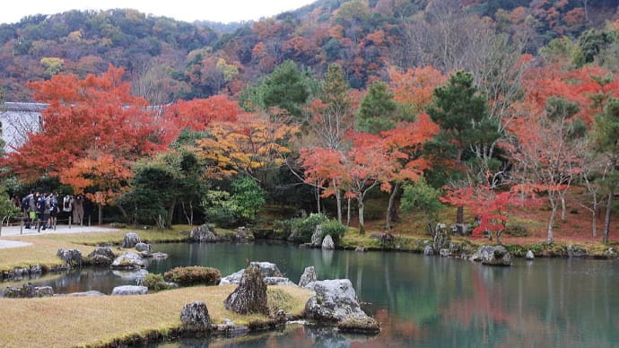 嵯峨野竹林  大河内山壮 トロッコ列車　保津川舟下り  嵐山  東福寺  京都 の  紅葉  。