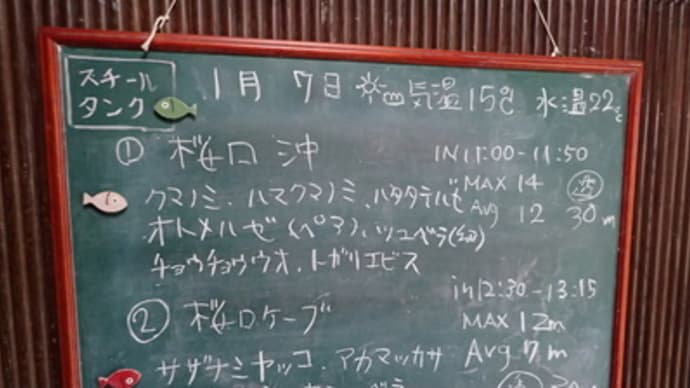 本日のダイビングログ