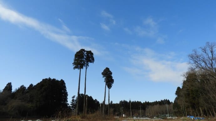 また 虹彩炎 再発・・・