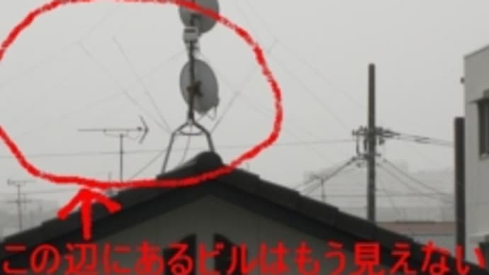 黄ぃない砂は嫌らぁ~い。。('・c_・` )
