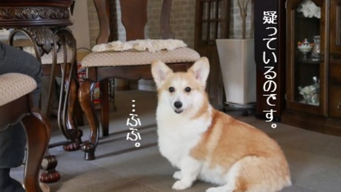 …疑ってる!
