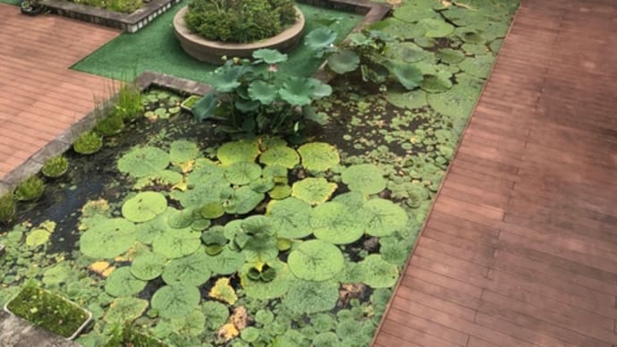 山とともに生きる