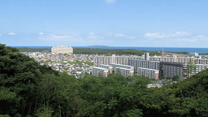 鹿部山 43