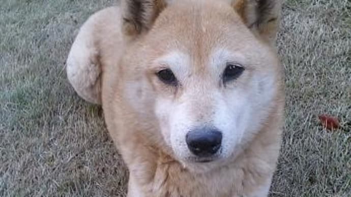 これまでのフォローアップセミナーのご紹介