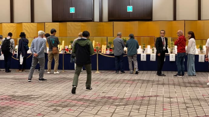 第76回 日本富貴蘭会美術品評全国大会の展示品(ざっくり)