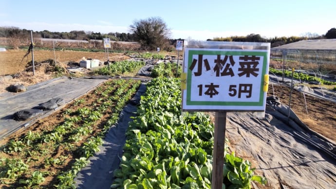 収穫体験型 野菜直売所