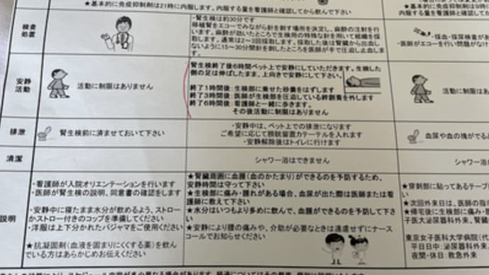 腎生検の午後