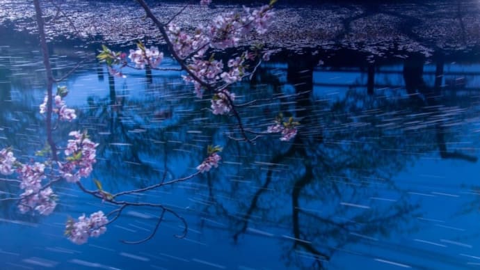 花筏