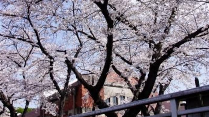 2023年 3月22日(水)の「荒川自然公園」と「荒川区立荒川公園」(1)