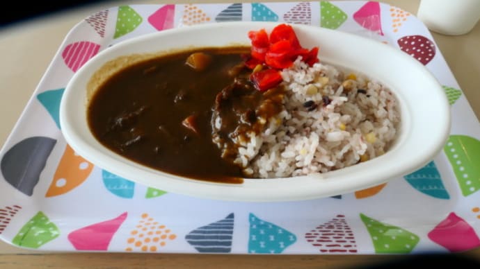 兵庫県立美術館内のカフェ フォルテシモ でのランチ on 2025-3-25 と閉店のお知らせ