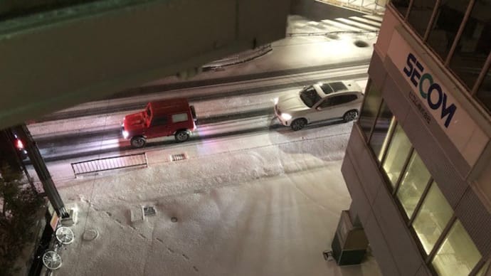 久しぶりの大雪です!