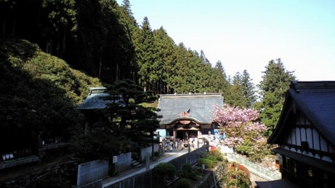 遍路物語 2008 (8日目)