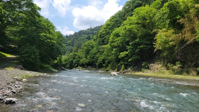 鮎釣り:南甘のアユ釣り①