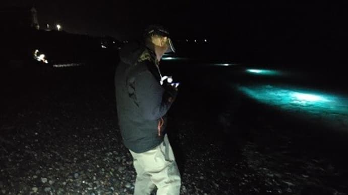 ちょい湧き激流ホタルイカ!!の次の日は!?
