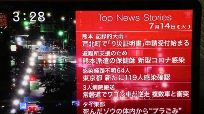 閑雲野鶴日記 2020年(令和2年)7月14日 火曜日 朝の散歩『名所・旧跡10kmコース』 『エドヒガン』