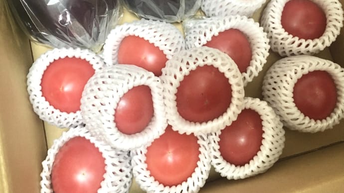 京野菜便📦