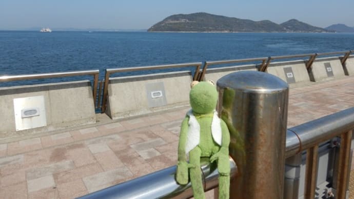 5日目の午前中。