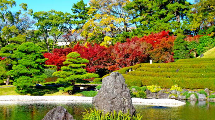 駿府城公園紅葉山庭園の紅葉