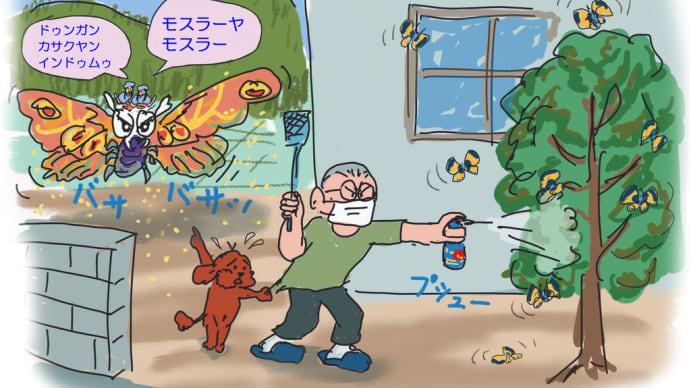 綺麗な蝶だったら良かったのに・・と思った話