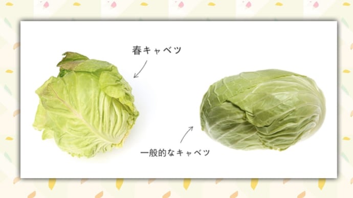 違いの分かる男☆