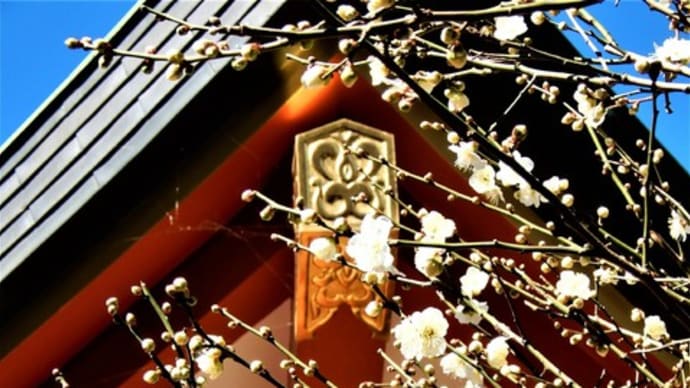 2020・2・2 東京の几号水準点 港区・芝東照宮