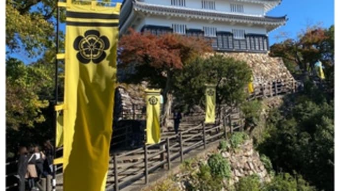 岐阜城・岐阜~2024.11.13