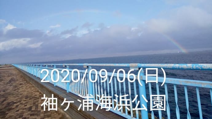 目まぐるしく変わる天気でのシロギス!!