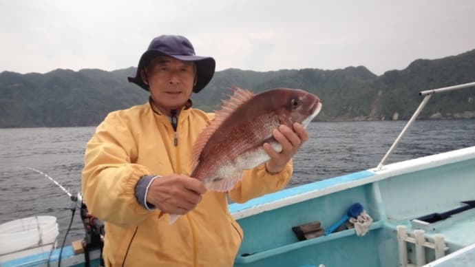 5月21日マダイ、イサキ釣りの釣果1-1匹、イサキ、アカハタ、ウメイロなど。