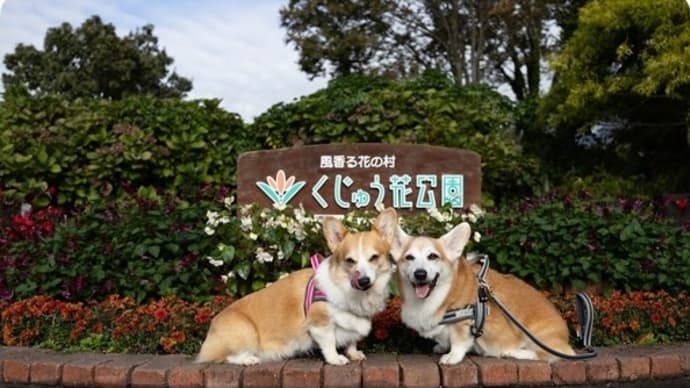 くじゅう花公園