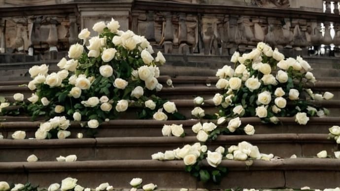宮殿と白薔薇