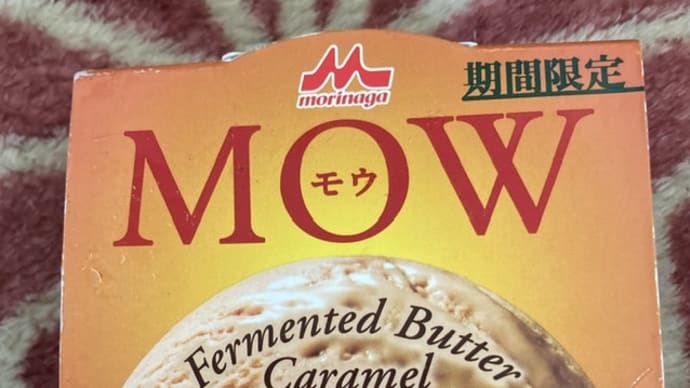 アイス　MOW 発酵バターキャラメル